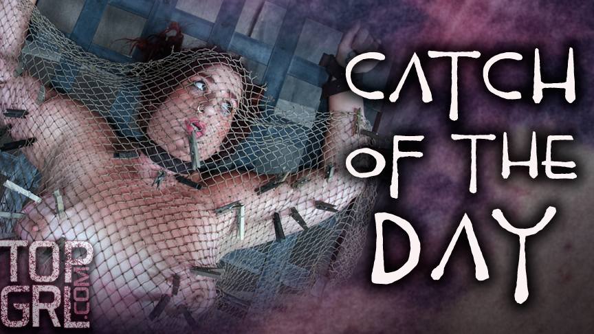 [Archive] Catch of the Day